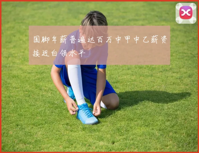 国脚年薪普遍达百万中甲中乙薪资接近白领水平