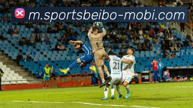 贝博体育APP 封面图